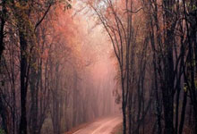 记者:莱比锡有意让格拉斯纳执教 据悉有关于后者的离队选项.