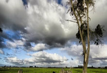 黑白体育:意大利杯:国际米兰2比0击败拉齐奥 晋升四强.